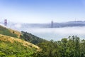 Golden Gate and the San Francisco bay covered by fog, as seen from the Marin Headlands State Park, California