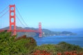 Golden Gate in Spring with the view of flower in San Francisco, USA