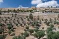 Golden gate to Jerusalem Royalty Free Stock Photo