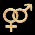 Golden gender symbols inlaid with gems