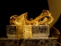 Golden gift Royalty Free Stock Photo