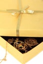 Golden gift box with jewelry Royalty Free Stock Photo