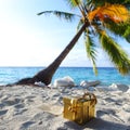 Golden gift on ocean beach Royalty Free Stock Photo