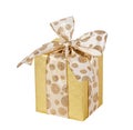 Golden gift wrapped present isolated Royalty Free Stock Photo