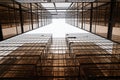 Golden glass building facade in worm eye view in linear view to see the clear sky / abstract architecture / architectural material Royalty Free Stock Photo