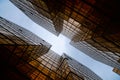 Golden glass building facade in worm eye view in linear view to see the clear sky / abstract architecture / architectural material