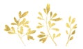 Golden glitter floral elements. Set of ficus branches and leaves in shiny foil. Botanical floral illustration for modern