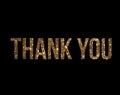 Golden glitter isolated word THANK YOU