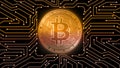 Golden glow digital bitcoin on isolated computer printed circuit board. For crypto market exchange promotion, news