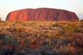 Golden Glow - Uluru