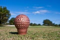 The Golden Golf Ball