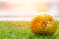 Golden golf ball on green grass with white