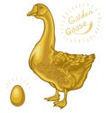 Golden Goose, goose on a white background, golden egg