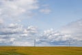 Golden grain field ripe for harvesting under stormy sky Royalty Free Stock Photo