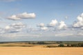 Golden grain field ripe for harvesting under stormy sky Royalty Free Stock Photo