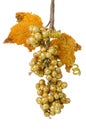 Golden grapes Royalty Free Stock Photo