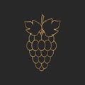 Golden grapes on black background, grape types set. Logo design, vector illustration. Wine vector logo art.