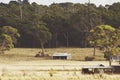 Farm shacks on Bruny Island, Tasmania.