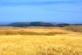 Golden grass hills at the Lagonacky plateau Royalty Free Stock Photo