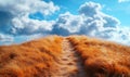 Golden grass pathway leading to dramatic clouds under blue sky Royalty Free Stock Photo