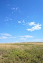 Golden grasses of a prairie