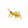 A golden grasshopper icon, isolated on a white Royalty Free Stock Photo