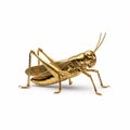 A golden grasshopper statuette, isolated on a white Royalty Free Stock Photo