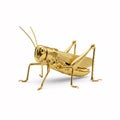 A golden grasshopper statuette, isolated on a white Royalty Free Stock Photo