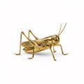 A golden grasshopper statuette, isolated on a white Royalty Free Stock Photo
