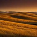 Golden Grassland Sunset Landscape Royalty Free Stock Photo