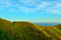 Golden grassy hill with grazing cow against a blue sea and sky