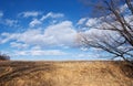 Golden Grassy Slope and Sky with Clouds in Winter