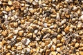 Golden gravel of small beige stones Royalty Free Stock Photo