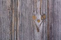 Golden Gray wood texture