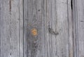 Golden Gray wood texture