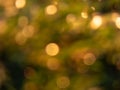 Golden and green bokeh effect and purposely blurred view of sunlight in sunset. Sunset and warm background Royalty Free Stock Photo