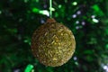 Golden green Christmas ball on a shiny green background Royalty Free Stock Photo