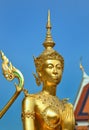 Golden guard in bangkok