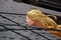 Golden hairs figurehead Royalty Free Stock Photo