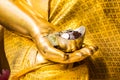 Golden hand buddha statue with money Royalty Free Stock Photo