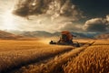 Golden Harvest: Farmer Collecting Wheat Crop in a Combine Harvester\