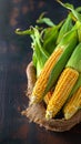 A golden harvest isolated corn on a textured wooden background