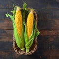 A golden harvest isolated corn on a textured wooden background