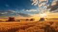 Golden Harvest: Real Landscape with Barley Machines Under the Sun