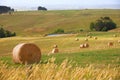 Hay bails with farm landscape and blue sky