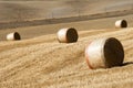 Golden hay bales Royalty Free Stock Photo