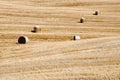 Golden hay bales Royalty Free Stock Photo