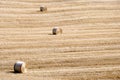 Golden hay bales Royalty Free Stock Photo