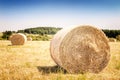 Golden hay bales at agricultural field Royalty Free Stock Photo