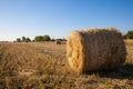 Golden hay bales in the countryside. Royalty Free Stock Photo